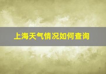 上海天气情况如何查询