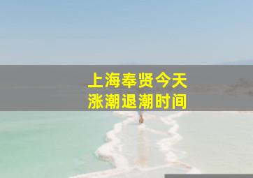 上海奉贤今天涨潮退潮时间