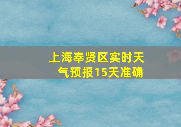 上海奉贤区实时天气预报15天准确