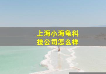 上海小海龟科技公司怎么样