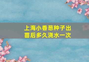 上海小香葱种子出苗后多久浇水一次