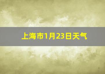 上海市1月23日天气