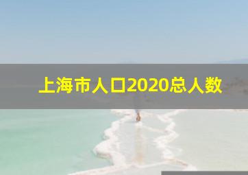 上海市人口2020总人数