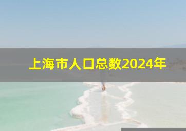 上海市人口总数2024年