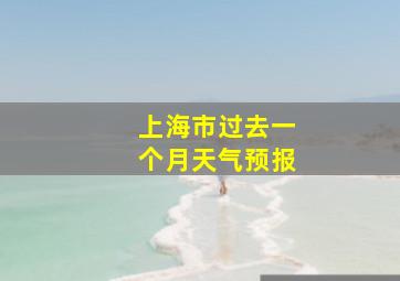 上海市过去一个月天气预报