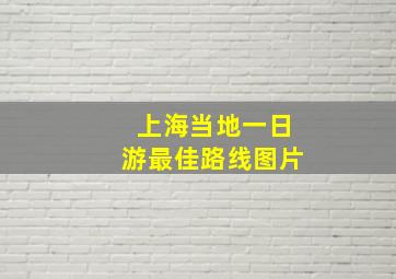 上海当地一日游最佳路线图片