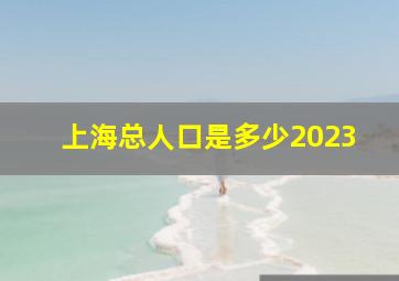 上海总人口是多少2023