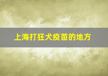 上海打狂犬疫苗的地方