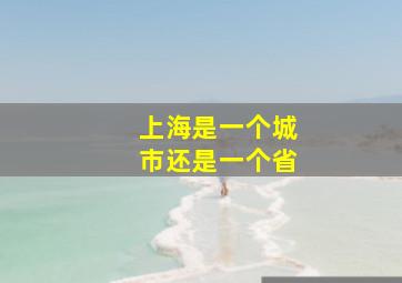 上海是一个城市还是一个省