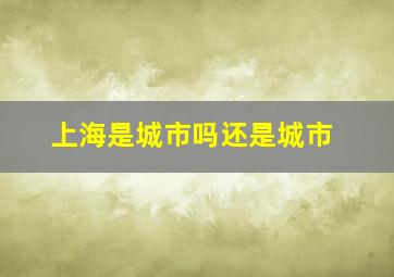 上海是城市吗还是城市