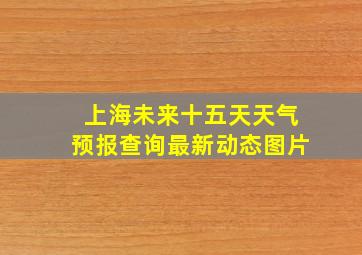 上海未来十五天天气预报查询最新动态图片