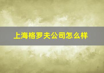 上海格罗夫公司怎么样