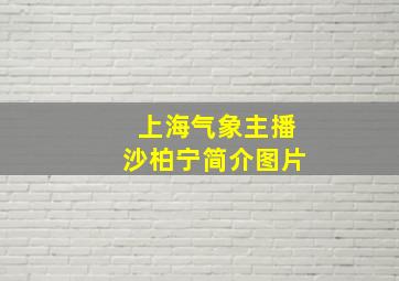 上海气象主播沙柏宁简介图片