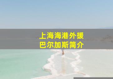 上海海港外援巴尔加斯简介