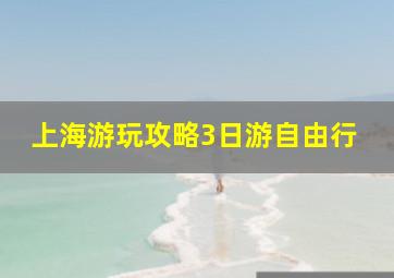 上海游玩攻略3日游自由行