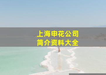 上海申花公司简介资料大全