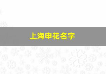 上海申花名字