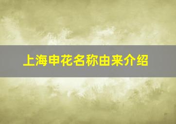 上海申花名称由来介绍