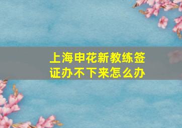 上海申花新教练签证办不下来怎么办