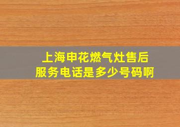 上海申花燃气灶售后服务电话是多少号码啊