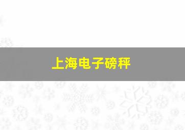 上海电子磅秤