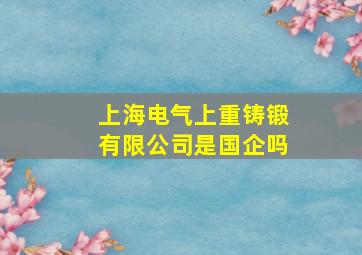 上海电气上重铸锻有限公司是国企吗