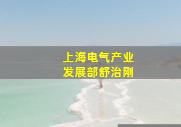 上海电气产业发展部舒治刚