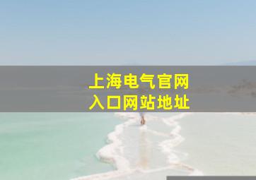 上海电气官网入口网站地址