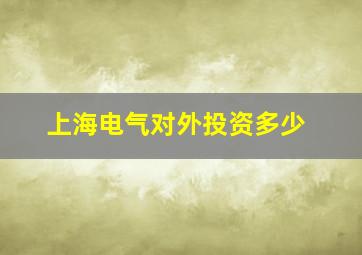 上海电气对外投资多少