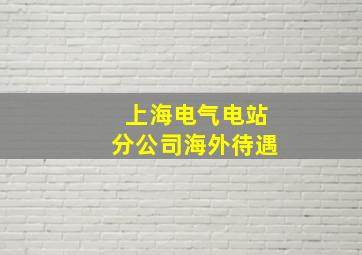 上海电气电站分公司海外待遇