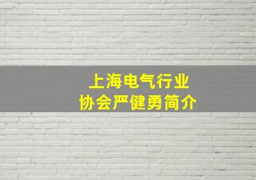 上海电气行业协会严健勇简介