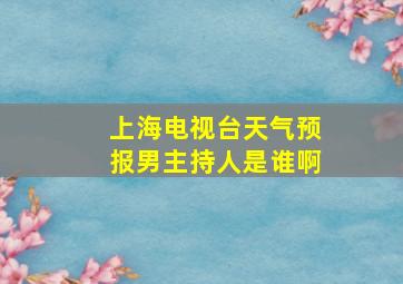 上海电视台天气预报男主持人是谁啊