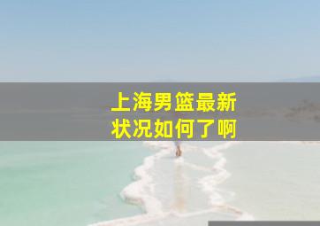 上海男篮最新状况如何了啊