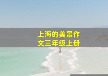 上海的美景作文三年级上册