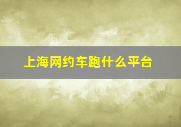 上海网约车跑什么平台