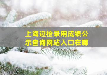 上海边检录用成绩公示查询网站入口在哪