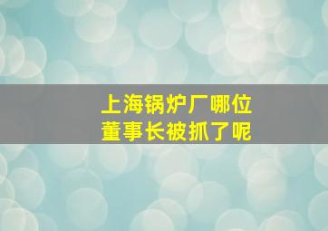 上海锅炉厂哪位董事长被抓了呢