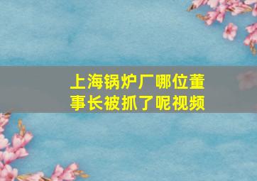 上海锅炉厂哪位董事长被抓了呢视频