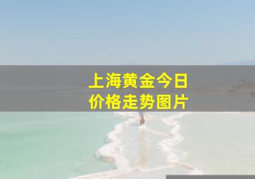 上海黄金今日价格走势图片