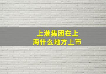 上港集团在上海什么地方上市