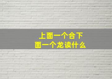 上面一个合下面一个龙读什么