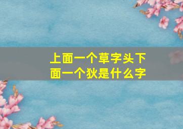 上面一个草字头下面一个狄是什么字