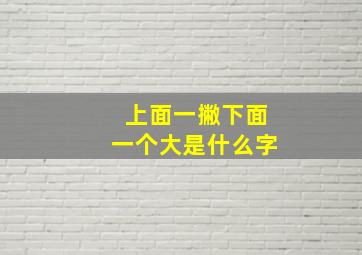 上面一撇下面一个大是什么字