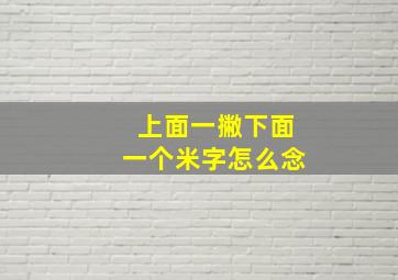 上面一撇下面一个米字怎么念