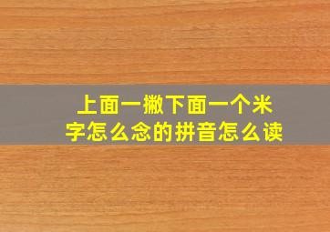 上面一撇下面一个米字怎么念的拼音怎么读