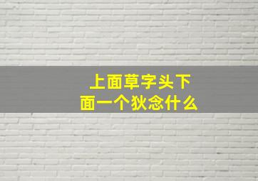 上面草字头下面一个狄念什么