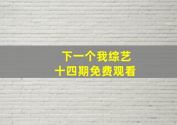 下一个我综艺十四期免费观看