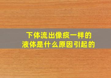 下体流出像痰一样的液体是什么原因引起的