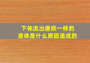 下体流出像痰一样的液体是什么原因造成的