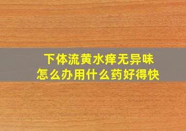 下体流黄水痒无异味怎么办用什么药好得快